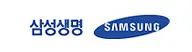 Logo 24